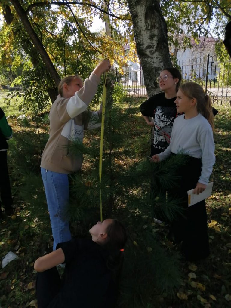 Лесничество — Муниципальное бюджетное общеобразовательное учреждение  